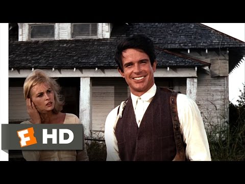 Bonnie and Clyde (1967) - We Rob Banks Scene (3/9) | Movieclips