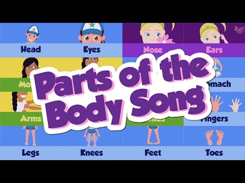 Parts of the Body Song