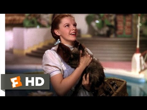 We&#039;re Not in Kansas Anymore - The Wizard of Oz (2/8) Movie CLIP (1939) HD